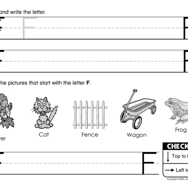 101-20 Original Handwriting: My Letter Book