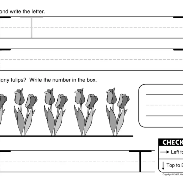 101-50 Original Handwriting: My Letter Book