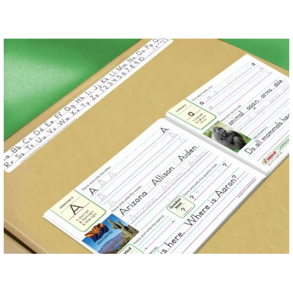 Manuscript-Desk-Strips-and-Open-Book-on-Desk