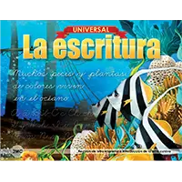 Item-754-Universal-La-escritura-Grade-2MC-1 Universal Handwriting | FWISD Teacher Resources